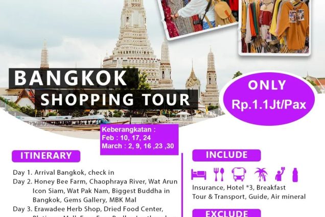 Bangkok Shopping Tour
